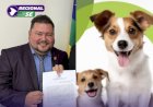 Projeto de lei do vereador Dwitht aprovado neste mês, institui dezembro como periodo de conscientização contra o abandono de animais